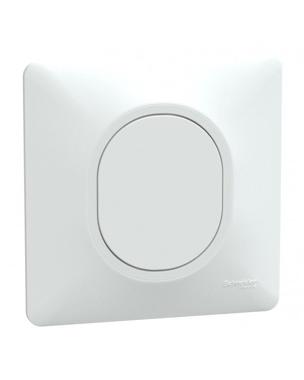 Ovalis obturateur Blanc griffes montées avec plaque de finition SCHS321666  Prises et interrupteurs