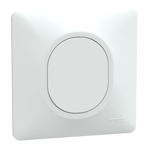 Ovalis obturateur Blanc griffes montées avec plaque de finition SCHS321666  Prises et interrupteurs