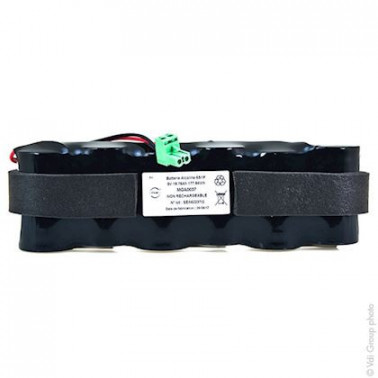 Batterie systeme alarme 6x LR20 (ST1/SG) 9V 19.76Ah FC ENIMGA0037  Consommable