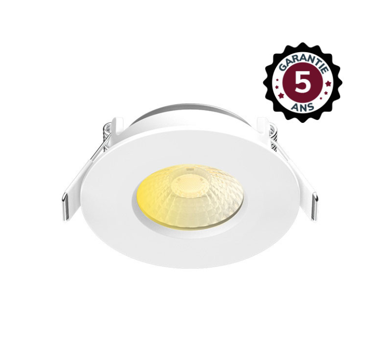ECLAT CCT II SPOT FIXE 60° 6W 2700/3000/4000 IP65/20 DIM 5ANS