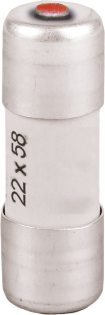 Fusible  125A gL/gG 22x58 à percuteur