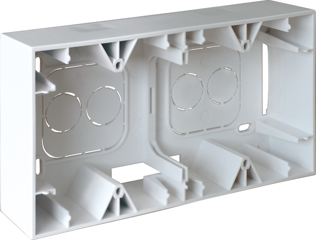 SQUARE cadre saillie 2 postes