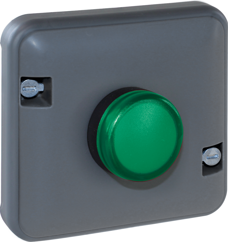 OXXO Voyant vert compos GRIS IP55