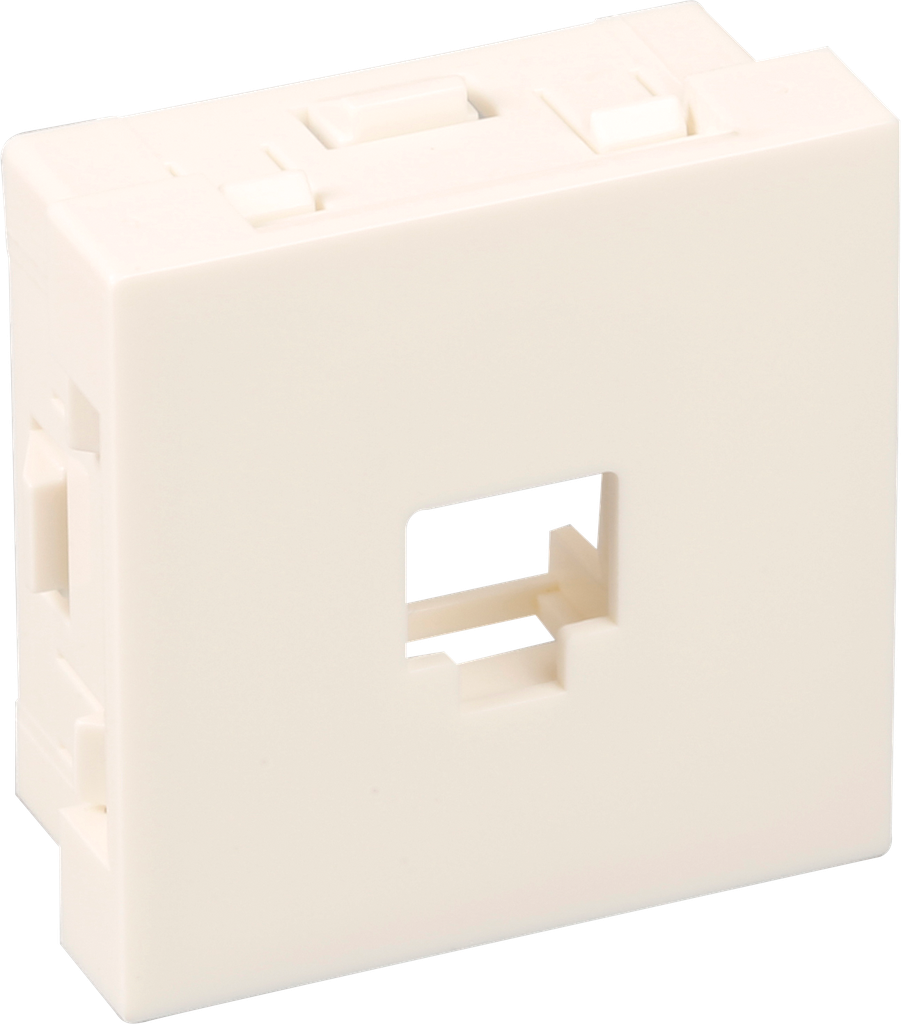 Supp. RJ45 Keystone*TM  blche 45x45