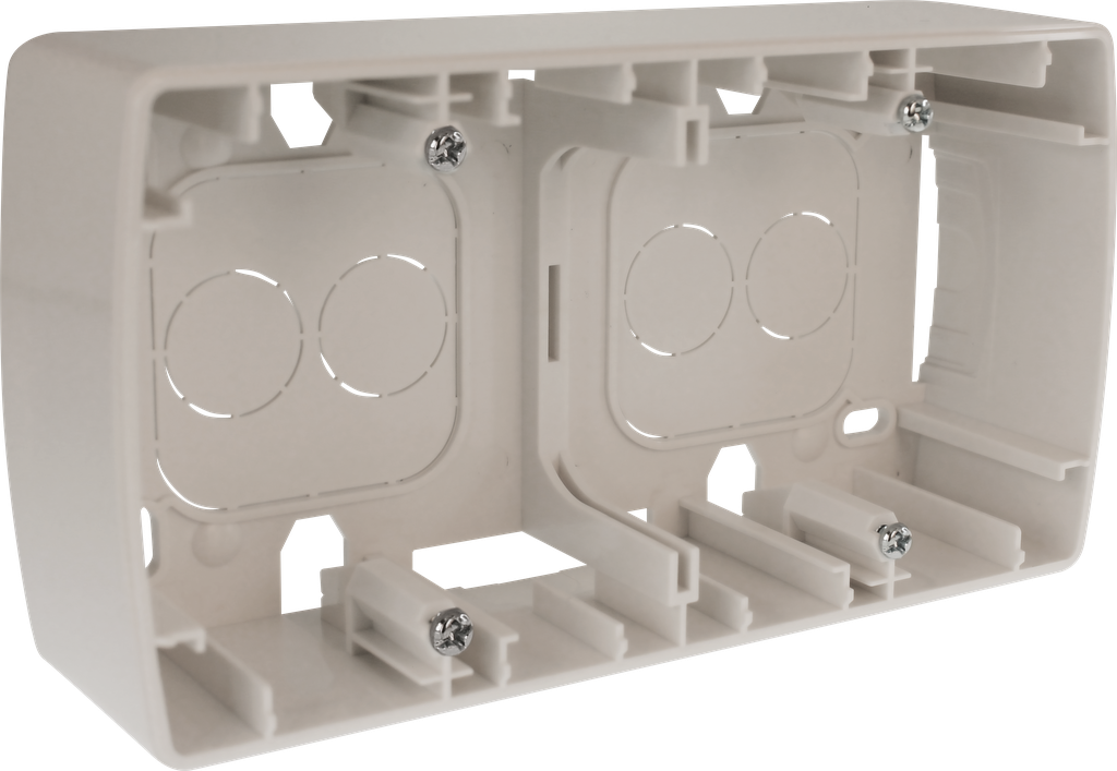 Cadre saillie 2 postes