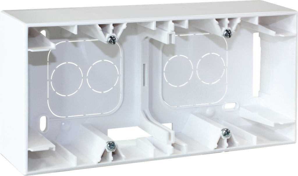 COMETE Cadre saillie 2 postes type A BLC