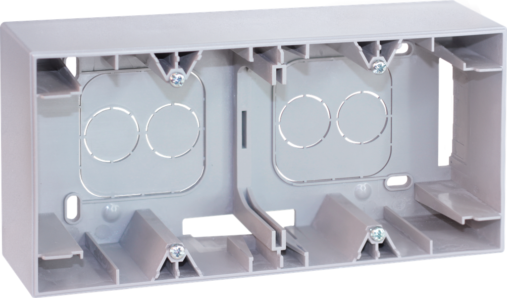 COMETE Cadre saillie 2 postes type A SILVER