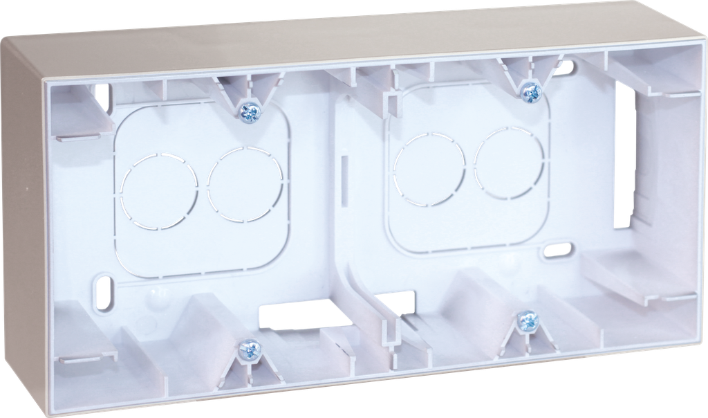 COMETE Cadre saillie 2 postes type A TITANE