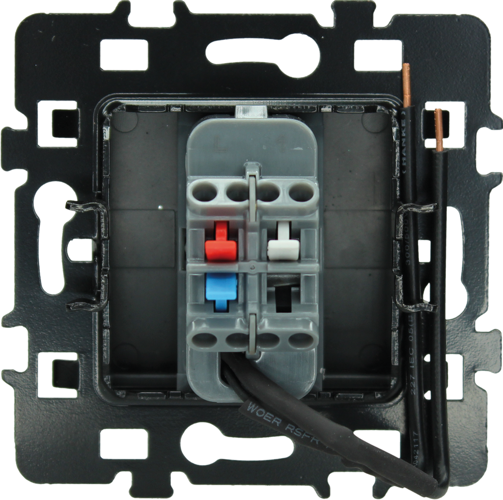 BP lumineux (voyant rouge) anthracite