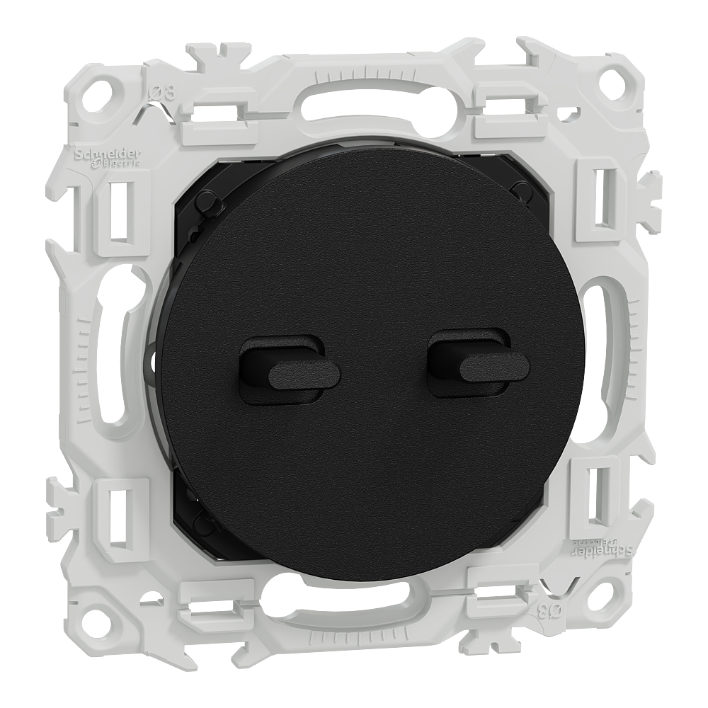 Odace - double va-et-vient ou poussoir à levier - 10AX - noir onyx