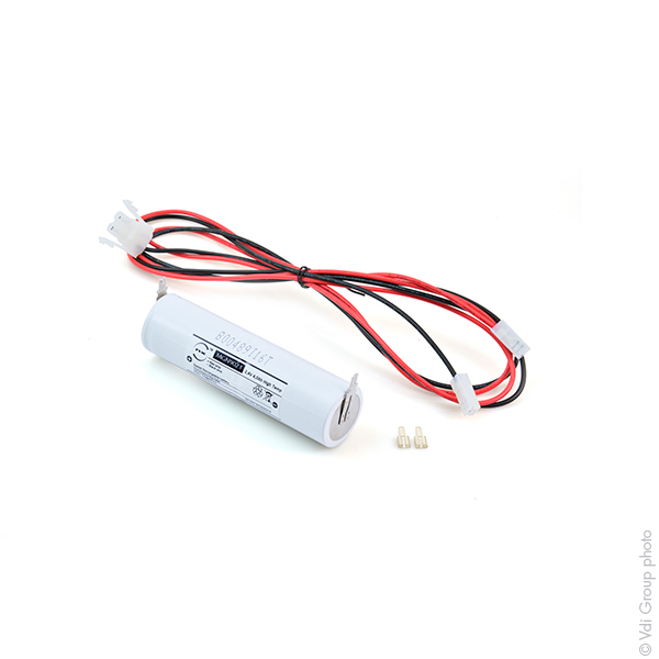 Batterie(s) Batterie eclairage secours 2xD ST4 + AMP 2.4V 4Ah