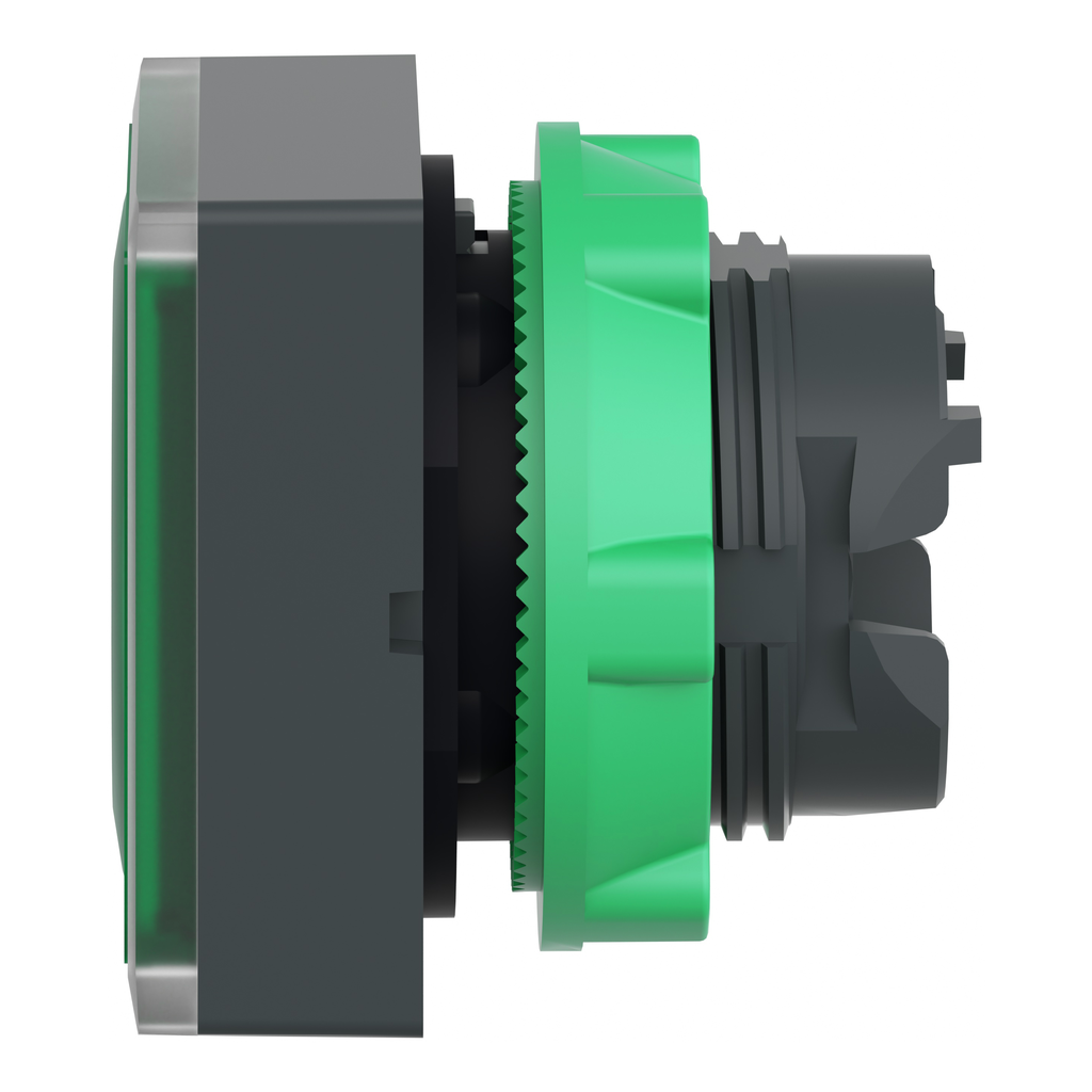 Harmony tête pour bouton-poussoir lumineux carré - Ø22 - pour étiquette - vert