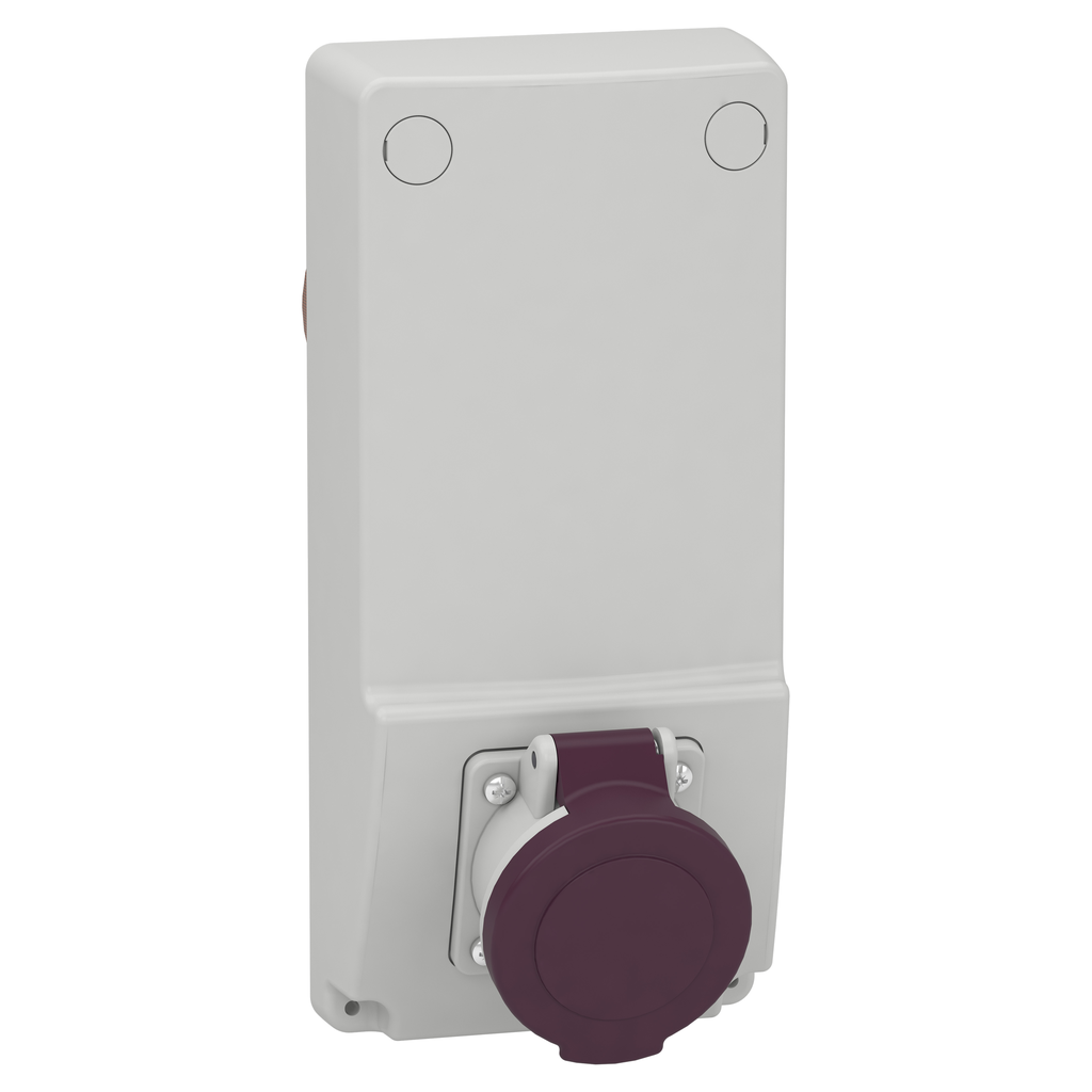 Mureva - socle de prise avec transfo. - 16 A 2P - 230 V CA - IP44 - sur panneau