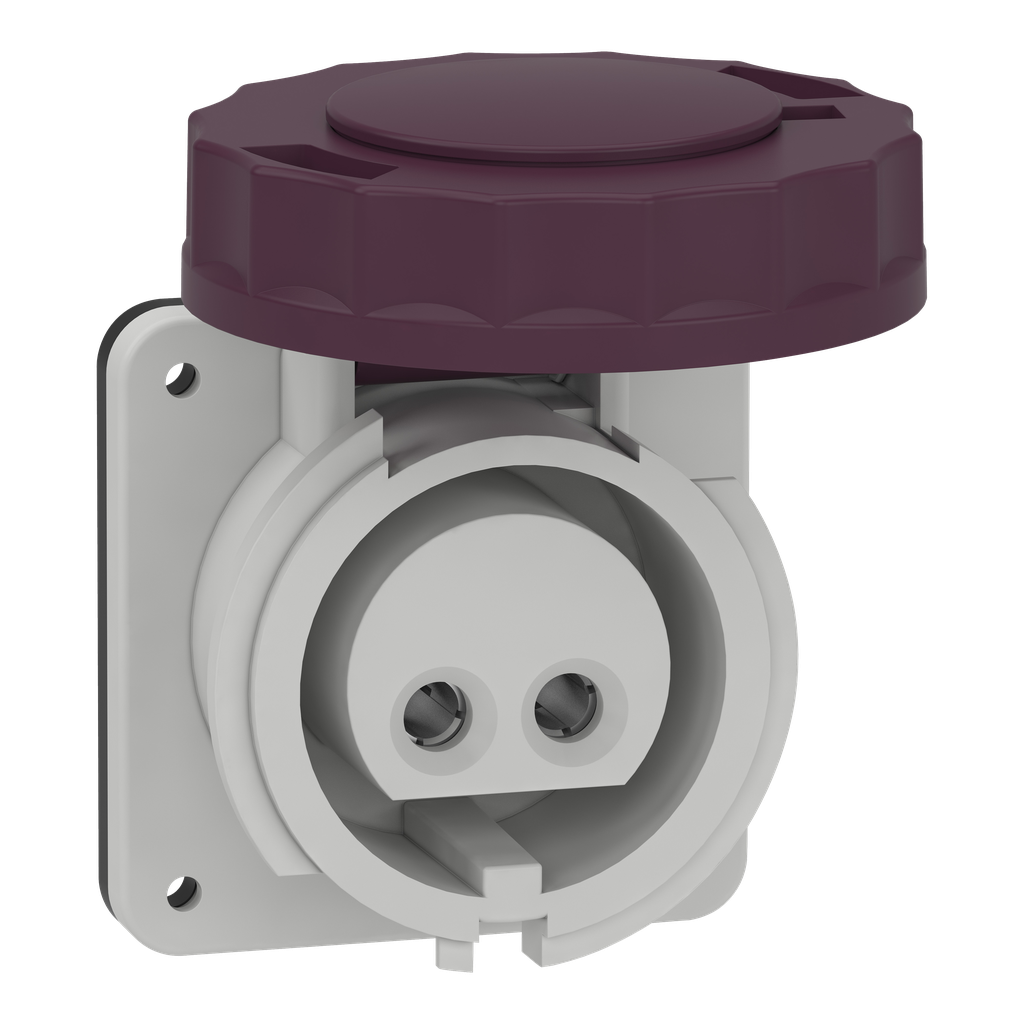 Mureva - socle de priseindustrielle droite - 16 A - 2P - 20-25 V CA - IP67