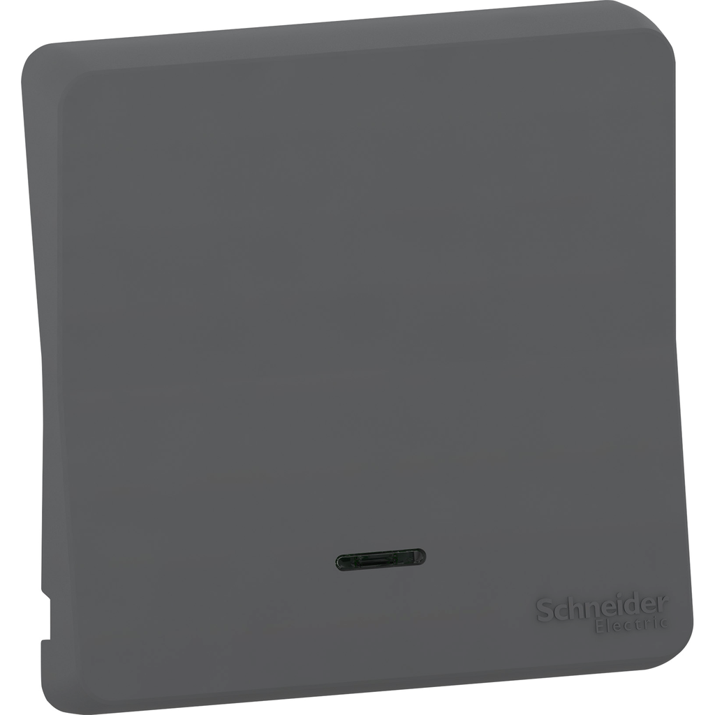 Mureva Styl - Enjoliveur avec lentille - IP55 - IK08 - gris