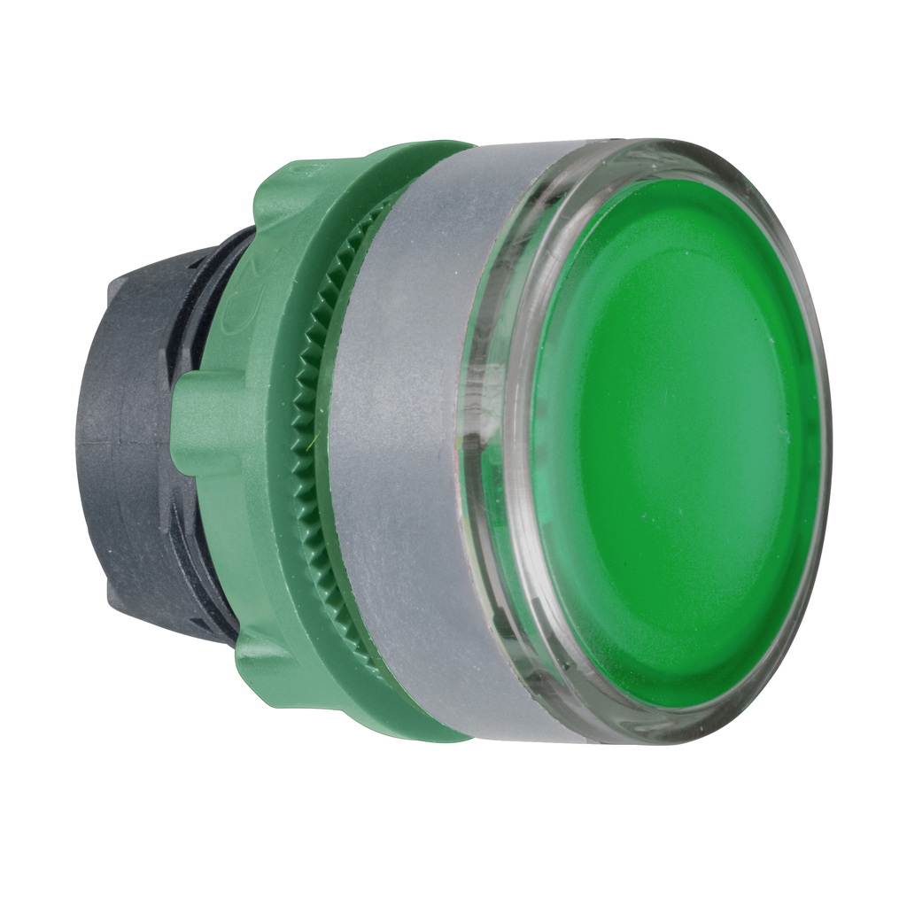 Harmony XB5 - tête bouton pousser-pousser - Ø22 - col grise - vert