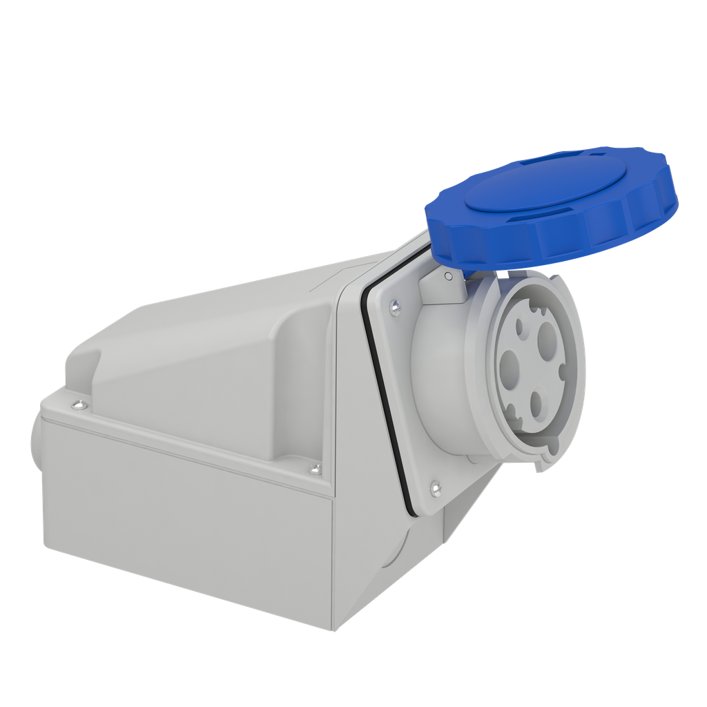 Mureva - socle de prise industrielle - 63 A - 2P+T - 200..250 V CA - IP 67