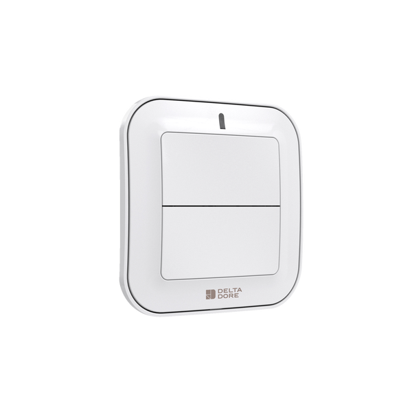 Tyxia 2310 | Commande radio murale pour éclairage ou automatisme