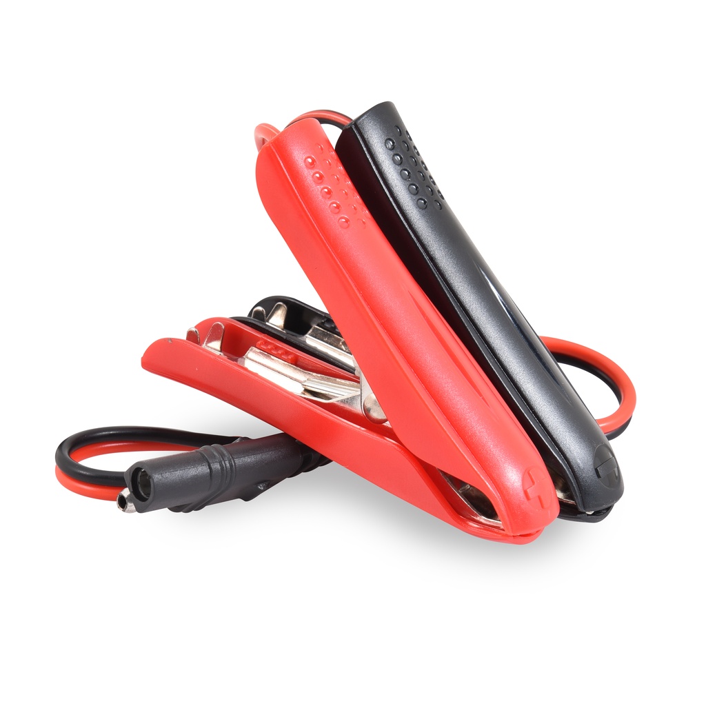 Unité(s) Chargeur plomb 24V/2.5A 100-230V pinces crocodiles (Intelligent)