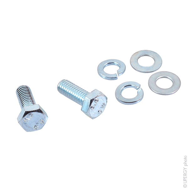 Batterie(s) Batterie plomb AGM YUASA NPL65-12IFR 12V 65Ah M6-F