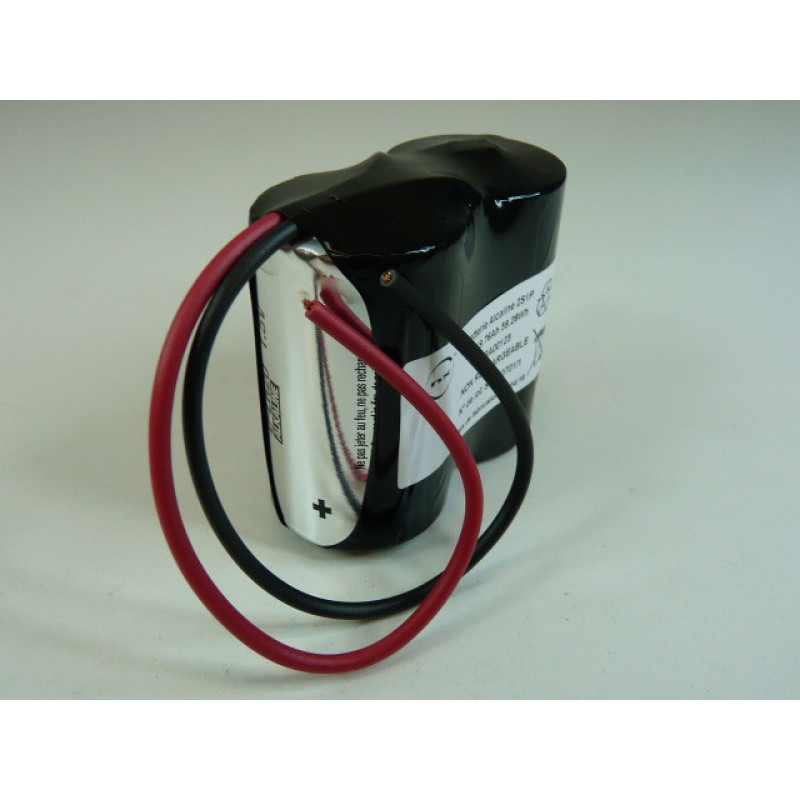 Batterie alcaline 2x D 2S1P ST1 3V 19760mAh F