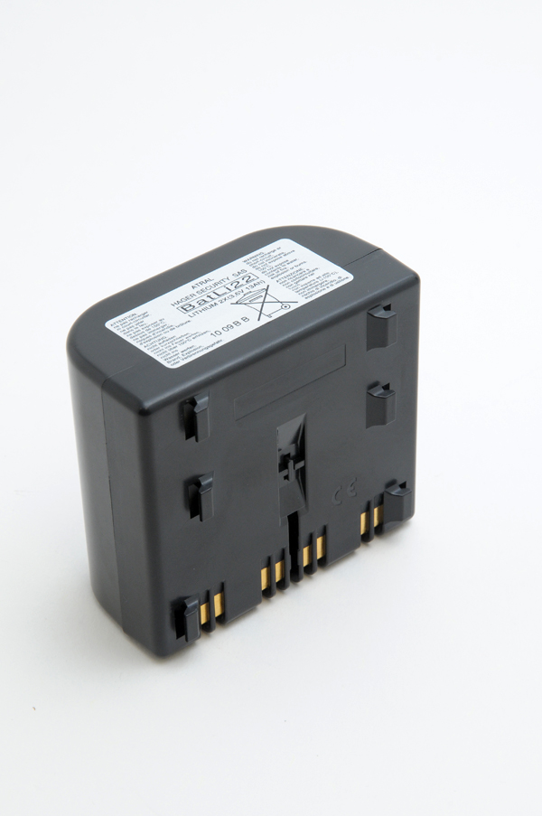 Pile(s) Batterie systeme alarme Daitem BATLI22 3.6V 13Ah