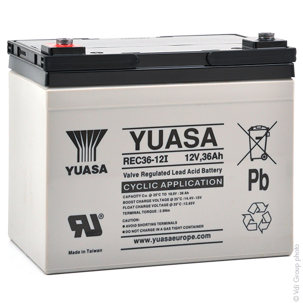 Batterie(s) Batterie plomb AGM YUASA REC36-12I 12V 36Ah M5-F