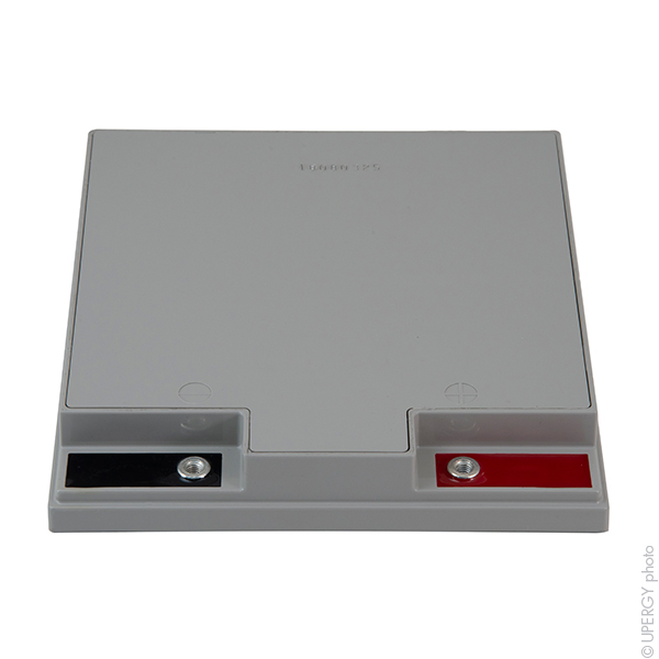 Batterie(s) Batterie plomb AGM YUASA NPL24-12IFR 12V 24Ah M5-F