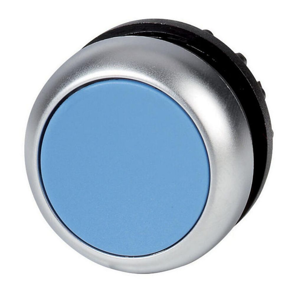 Bouton-poussoir, plat, bleu, à rappel