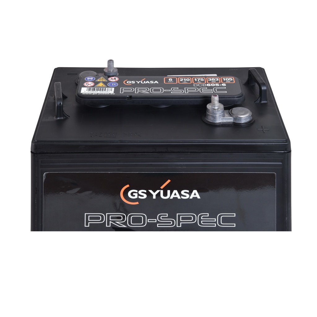 Batterie(s) Batterie traction YUASA PRO-SPEC DCB605-6 6V 210Ah M8-V