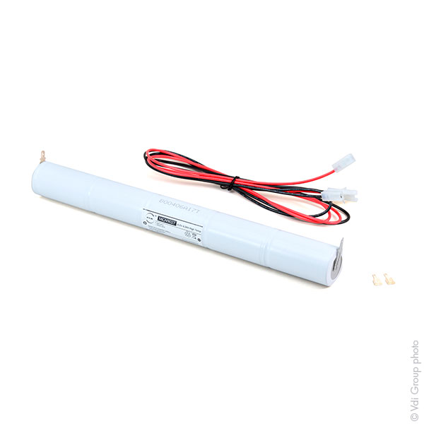 Batterie(s) Batterie eclairage secours 5xD ST4 + AMP 6V 4Ah
