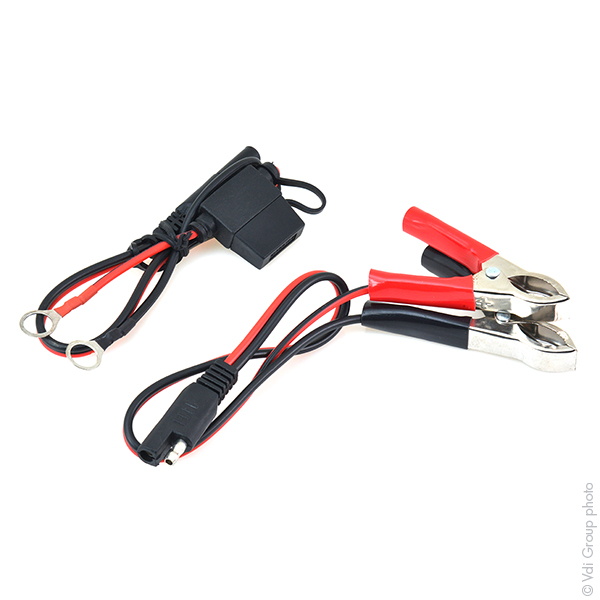 Unité(s) Chargeur plomb/Maintien de charge NX 6-12V/1.2A 100-240V - pinces + oei