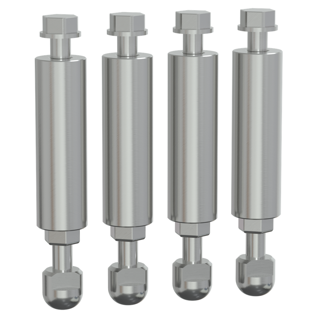 PanelSeT - vérins réglables - inox H220..250mm - lot de 4