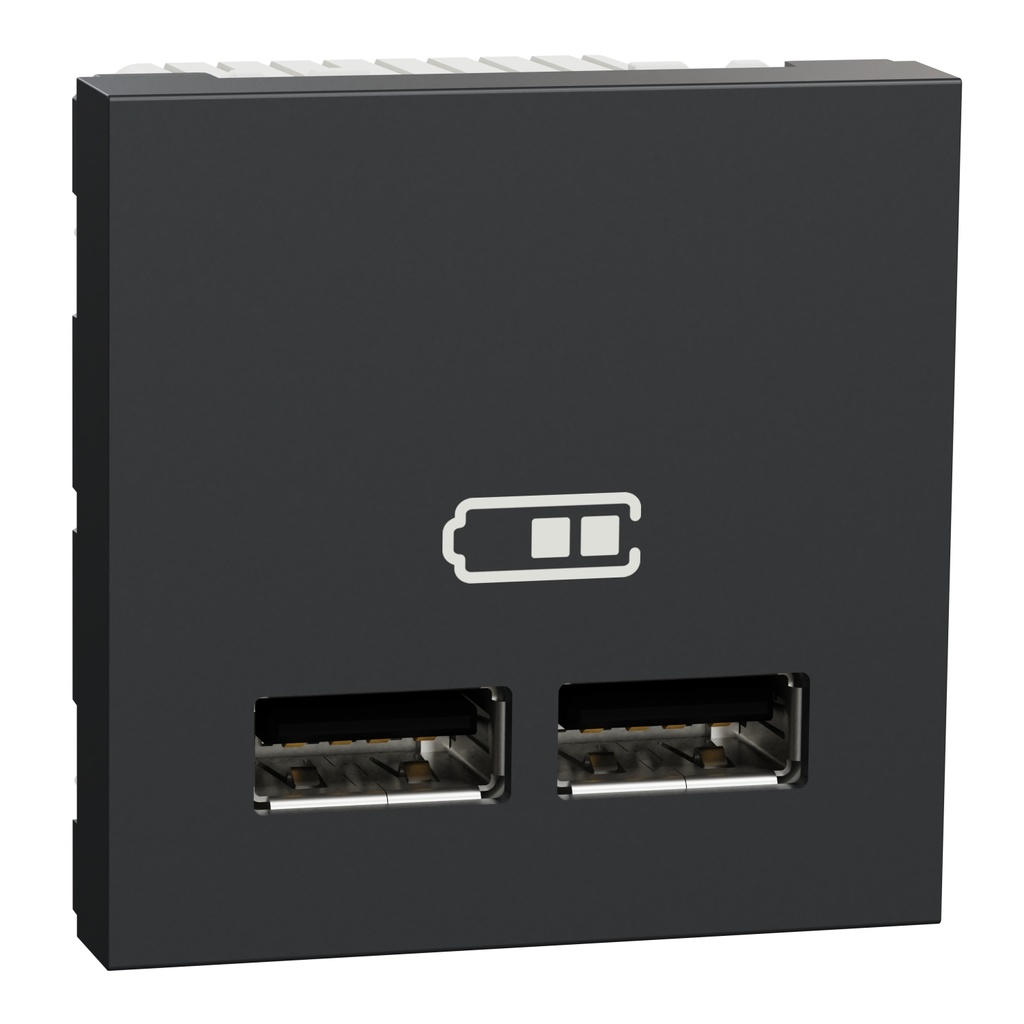 Unica - chargeur USB double - 5Vcc - 1A + 2,1A - 2 modules - Anthra - méca seul
