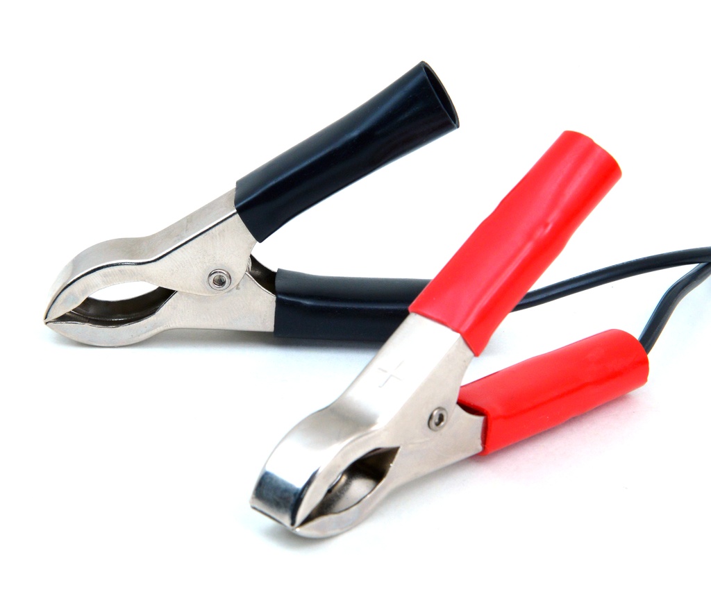 Unité(s) Chargeur plomb NX 12V/6A 110-230V - pinces crocodiles (Intelligent)