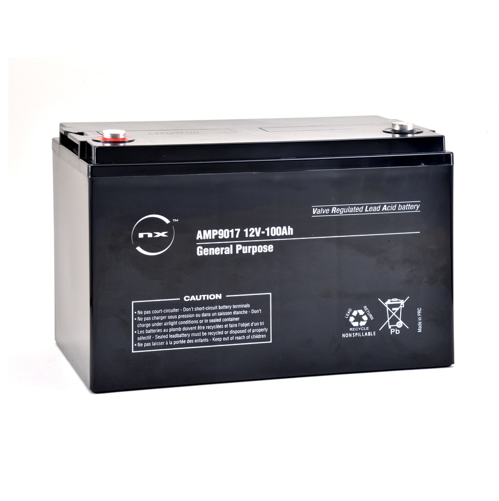 Unité(s) Batterie plomb AGM NX 100-12 General Purpose 12V 100Ah M8-F