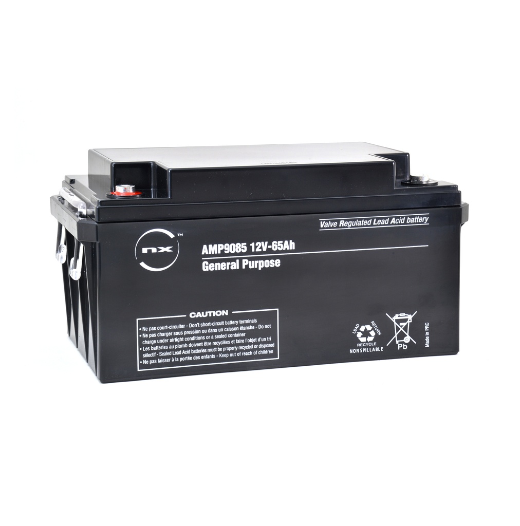 Batterie(s) Batterie plomb AGM NX 65-12 General Purpose 12V 65Ah M6-F