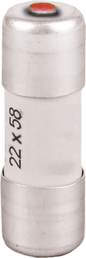 [EUR29198] Fusible  100A gL/gG 22x58 à percuteur