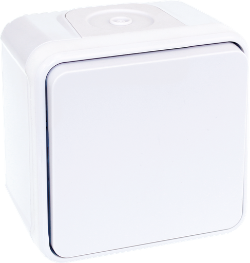 [EUR60813] OXXO BP BLANC SAILLIE IP55