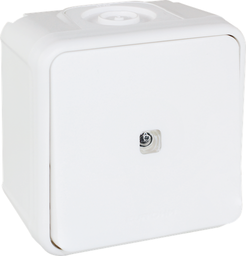 [EUR60814] OXXO BP lumineux BLANC SAILLIE IP55