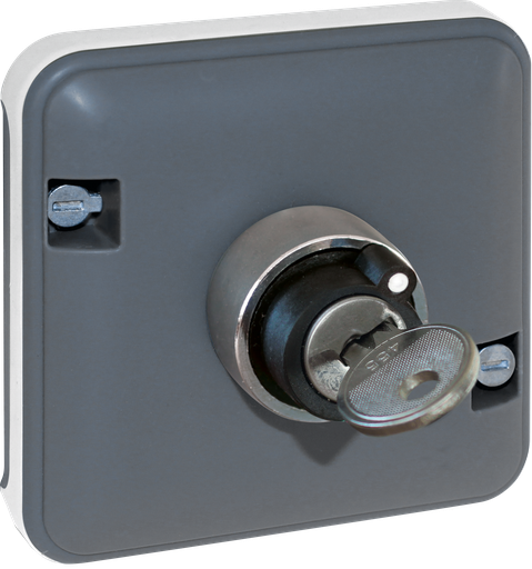 [EUR60828] OXXO Inter à clef 2 poscompos GRIS IP55