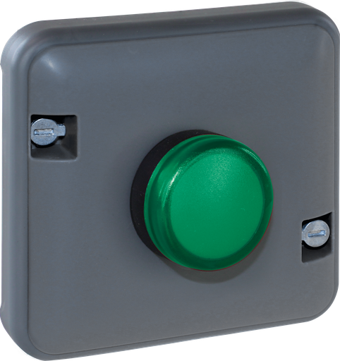 [EUR60848] OXXO Voyant vert compos GRIS IP55