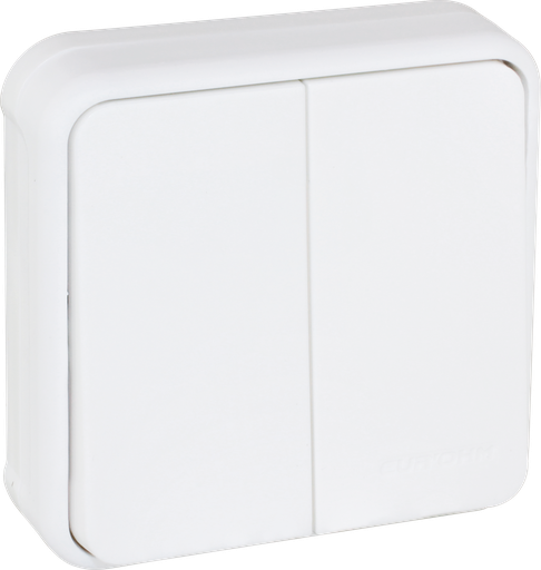 [EUR60890] OXXO dble VV BLANC ENCASTRE IP55