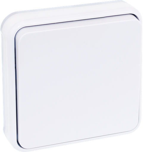 [EUR60891] OXXO BP BLANC ENCASTRE IP55