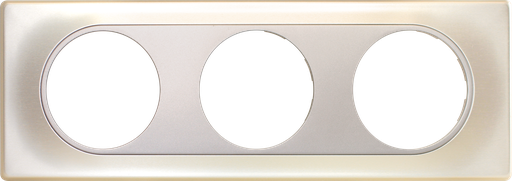 [EUR61698] COMETE Plaque 3 positionstes TITANE