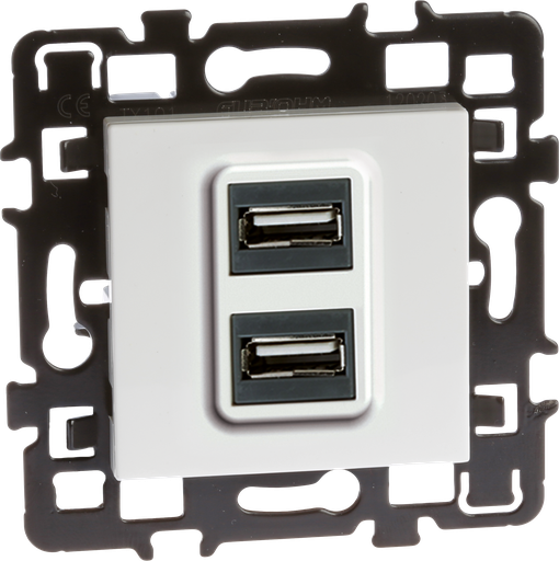 [EUR61829] Prise double USB A