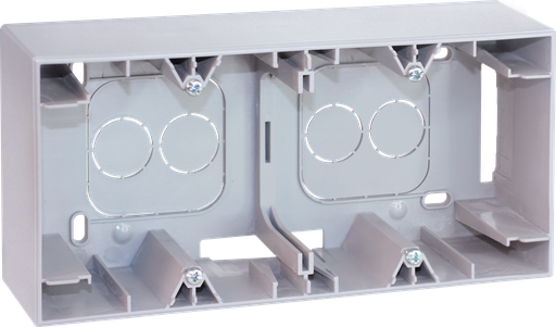 [EUR61381A] COMETE Cadre saillie 2 postes type A SILVER