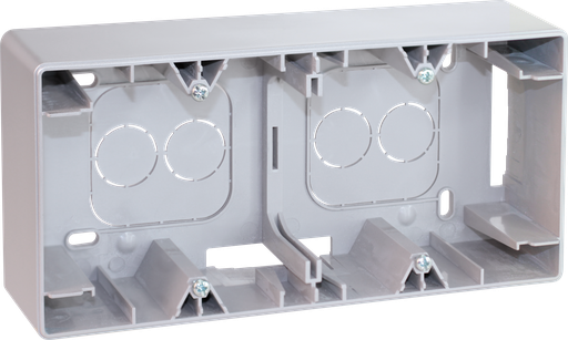 [EUR61381B] COMETE Cadre saillie 2 postes type B SILVER