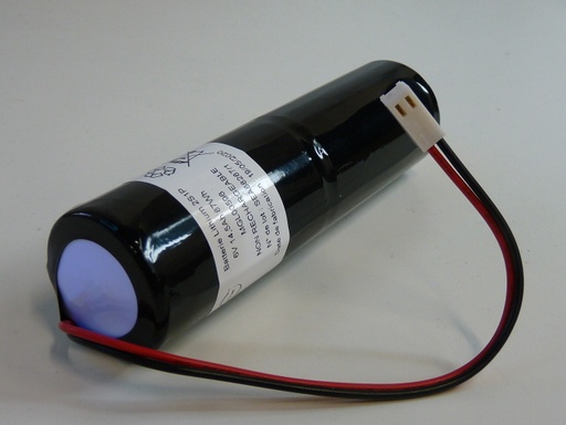 [ENIMGL00596] Pack(s) Batterie lithium 2x  ER34615  D 2S1P  ST4 6V 14.5Ah Molex