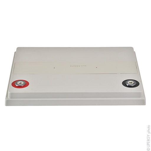 [ENIAMP92138] Batterie(s) Batterie onduleur (UPS) YUASA SWL1800FR 12V 57.6Ah M6-F